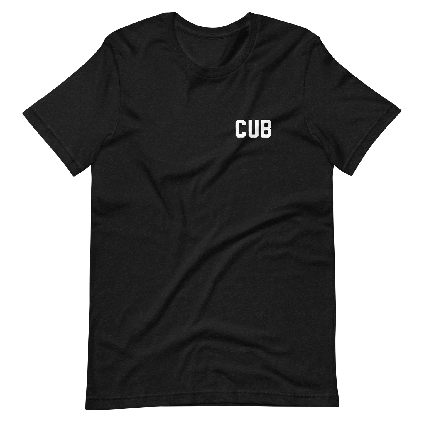 Cubbybear & Brothers T-Shirt (Two Sided)